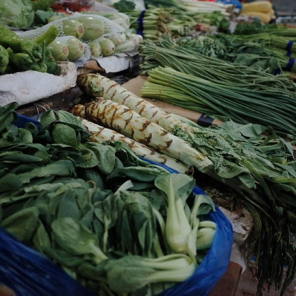 塑料菜板变黑怎么清洗干净