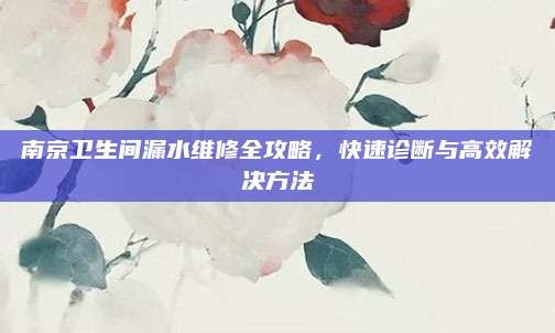 南京卫生间漏水维修全攻略,快速诊断与高效解决方法