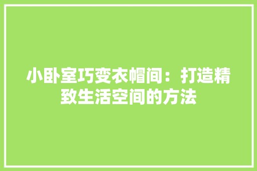 小卧室巧变衣帽间：打造精致生活空间的方法 现代风格装饰