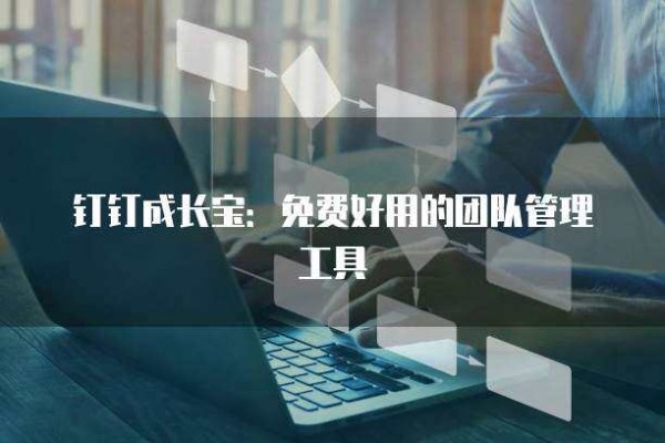 钉钉成长宝：免费好用的团队管理工具