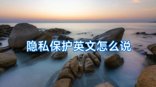 隐私保护英文怎么说