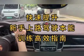 快速提升!新手上路驾驶本能训练高效指南视频封面