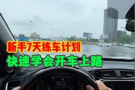 新手司机不敢开车上路,送你7天练车计划,快速提升驾驶技术视频封面