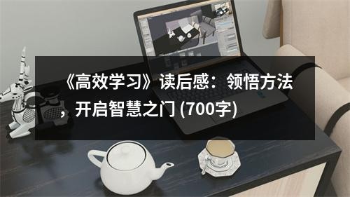《高效学习》读后感：领悟方法，开启智慧之门 (700字)