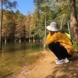 沉香醉墨