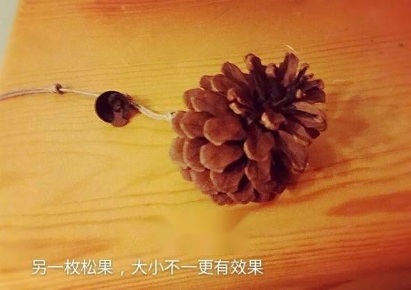 岁月的记忆 . 收集自然 . 森系挂饰 第6张