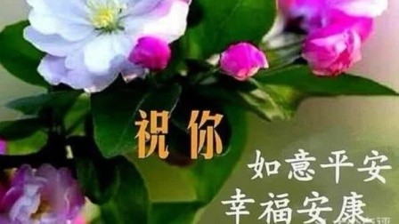 早安问候语