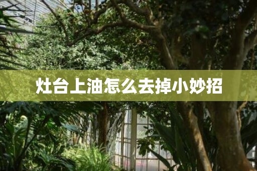 灶台上油怎么去掉小妙招