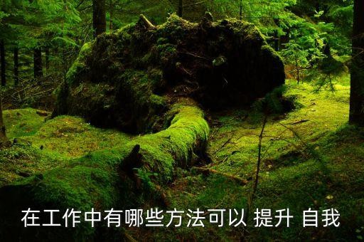 在工作中有哪些方法可以 提升 自我