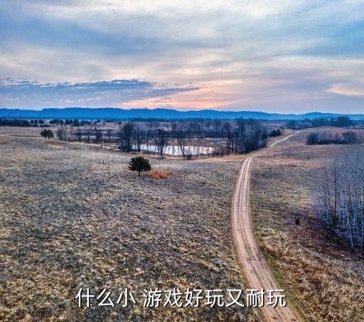 什么小 游戏好玩又耐玩
