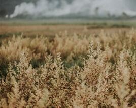 你知道居家装修的窍门有哪些吗!
