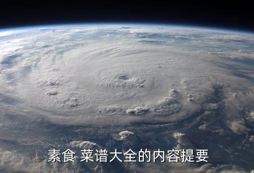 素食 菜谱大全的内容提要