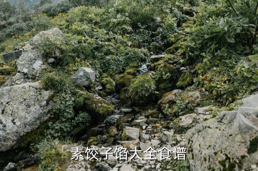 素饺子馅大全食谱