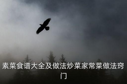 素菜食谱大全及做法炒菜家常菜做法窍门