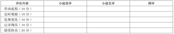 基于项目式学习的劳动实践探究：以“校园蔬菜种植”项目为例