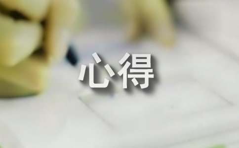 初中劳动实践心得（精选28篇）