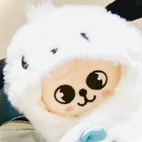 小狗观察者