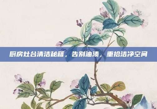 厨房灶台清洁秘籍,告别油渍,重拾洁净空间