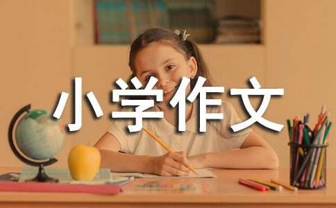 社会实践活动小学作文（通用27篇）