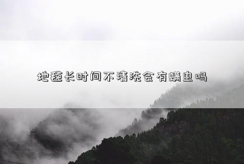 地毯长时间不清洗会有螨虫吗