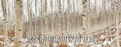 武汉市哪里可以捐书籍