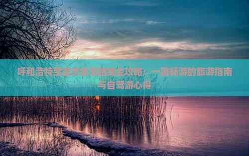 呼和浩特至重庆自驾路线全攻略：一路畅游的旅游指南与自驾游心得