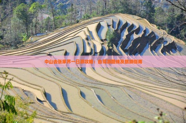 中山去张家界一日游攻略：自驾游路线及旅游指南
