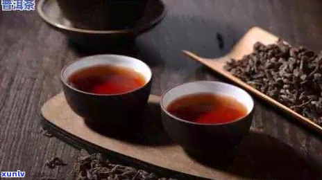 普洱茶与哪些食物搭配食用更佳