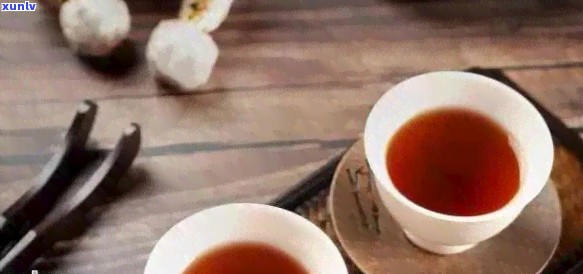 普洱茶与哪些食物搭配食用更佳