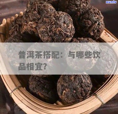普洱茶与哪些食物搭配食用更佳