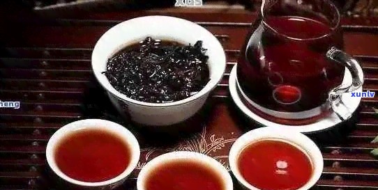 普洱茶与哪些食物搭配食用更佳