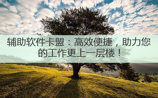 辅助软件卡盟：高效便捷，助力您的工作更上一层楼！