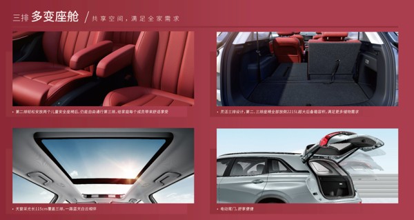 图片10