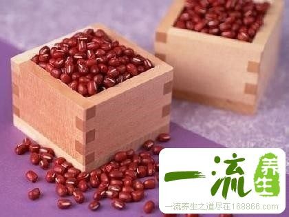 专家推荐：养生之道必备19种食物(图)