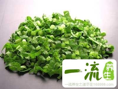 专家推荐：养生之道必备19种食物(图)