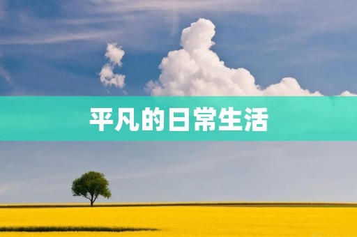 平凡的日常生活：细节中的美好