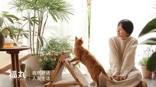 为宠物打造舒适生活空间。