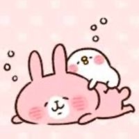 粉粉兔