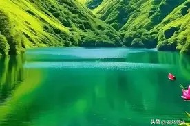 面对生活的不如意,拥有好心态,才能内心强大,能量满满图片