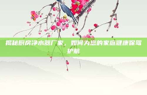 揭秘厨房净水器厂家,如何为您的家庭健康保驾护航
