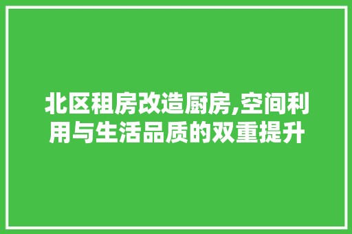 北区租房改造厨房,空间利用与生活品质的双重提升