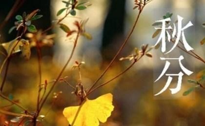 2024年12月本月黄道吉日搬家指南 黄道吉日搬家明智选择安定生活