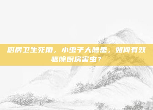 厨房卫生死角,小虫子大隐患,如何有效驱除厨房害虫?