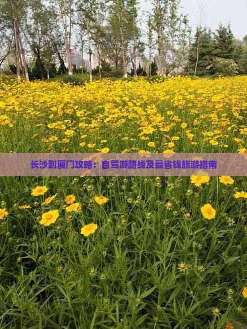 长沙到厦门攻略：自驾游路线及最省钱旅游指南