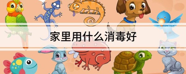 家里用什么消毒好