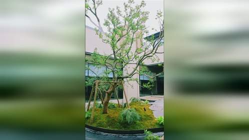济南中建好房子项目云启凤华，园林内部高八米的景观瀑布