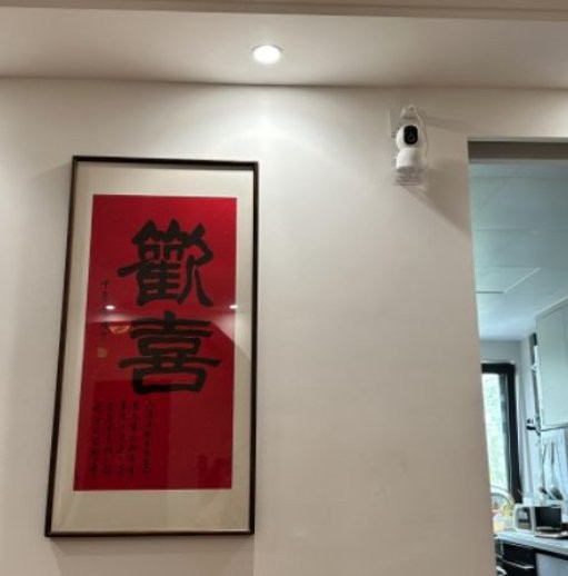 武晓莉/摄