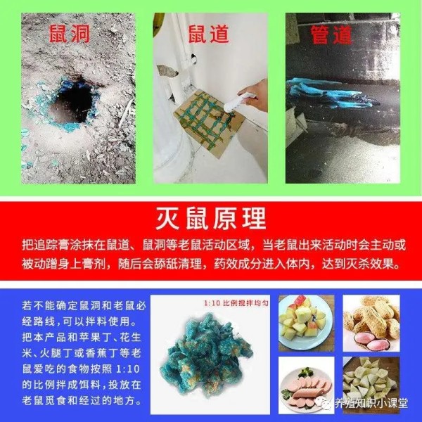 单位四害防治