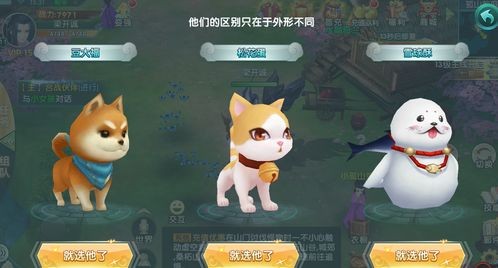 萌宠秘籍,必看宠物宝典!
