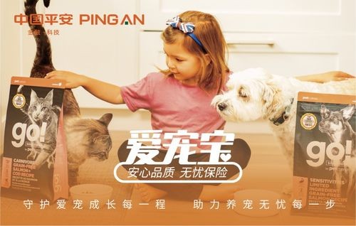 “养宠秘籍,选对宠物,生活更精彩!”